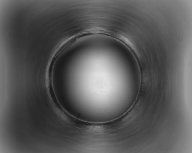 X0000088861082200706151731