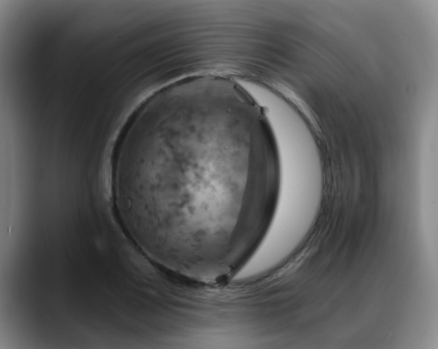X0000088861083200706151731