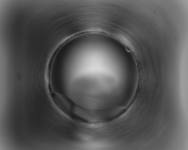 X0000088861084200706151731