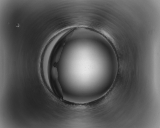 X0000088861085200706151731