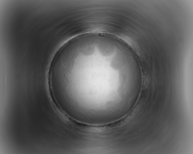 X0000088861086200706151731
