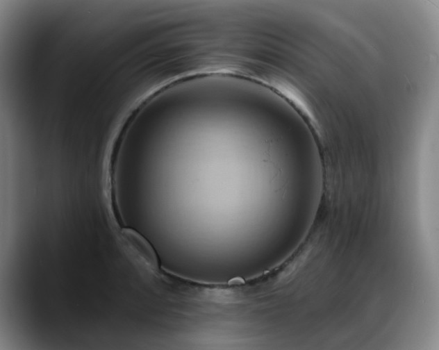 X0000088861088200706151731
