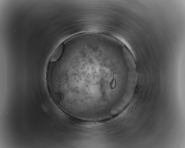 X0000088861091200706151731