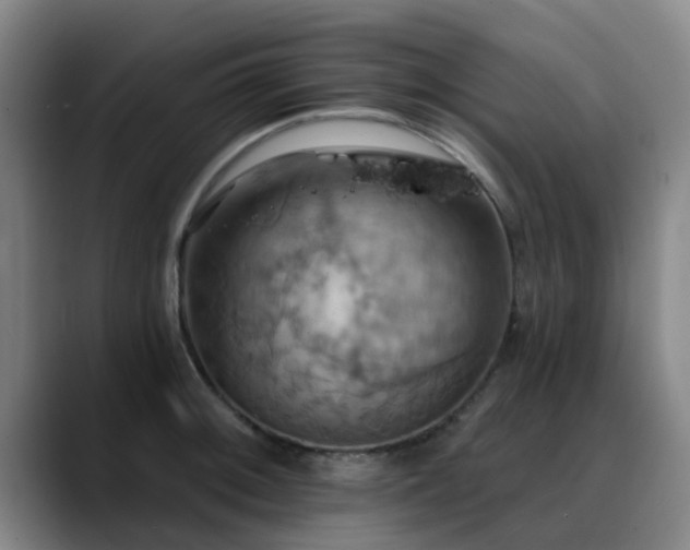 X0000088861092200706151731