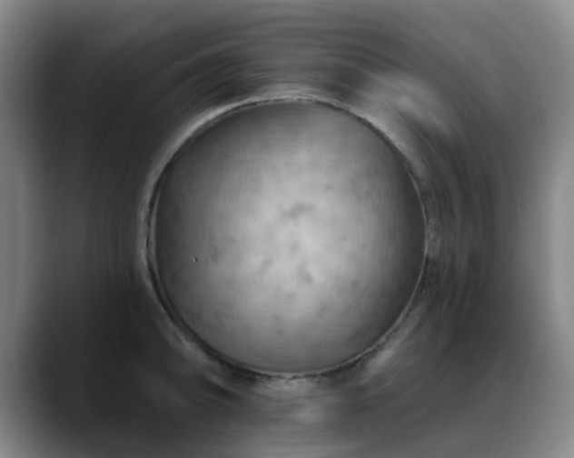 X0000088861094200706151731