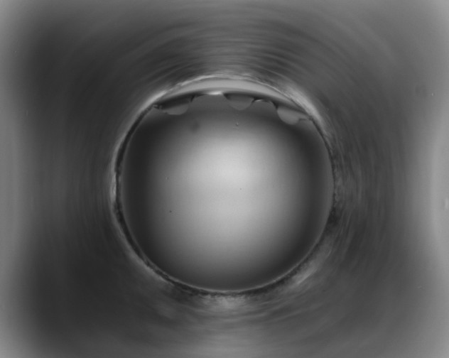 X0000088861095200706151731