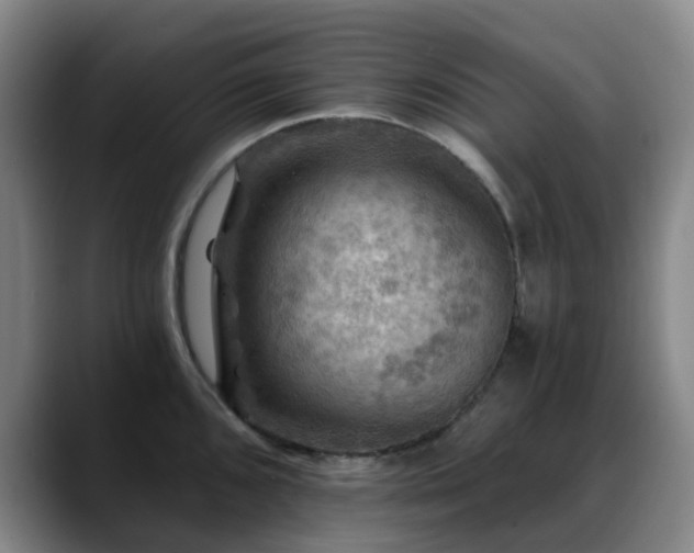 X0000088861096200706151731