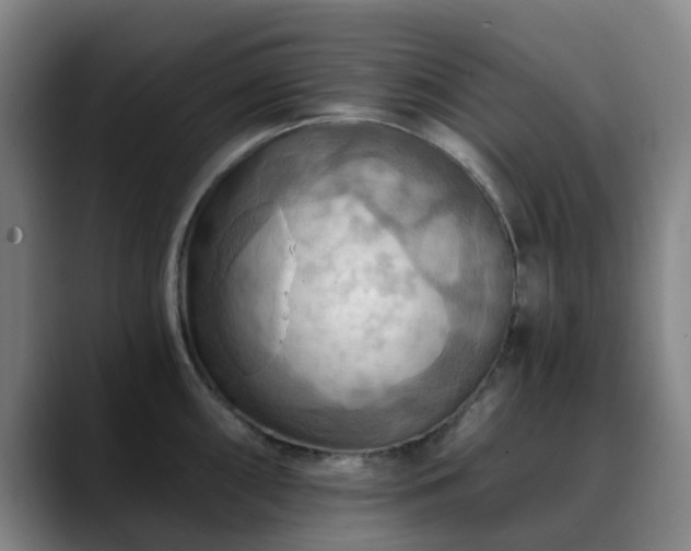 X0000088861098200706151731