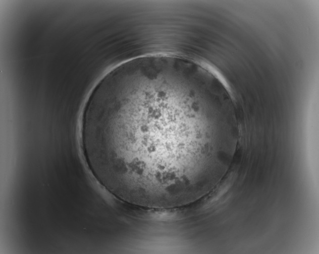 X0000088861099200706151731