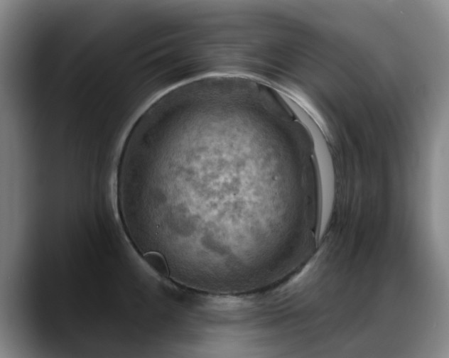 X0000088861100200706151731