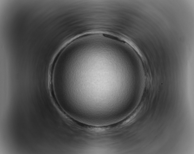 X0000088861101200706151731