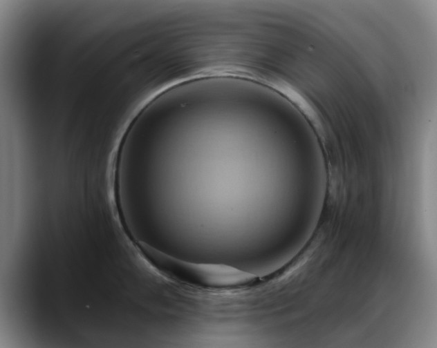 X0000088861102200706151731