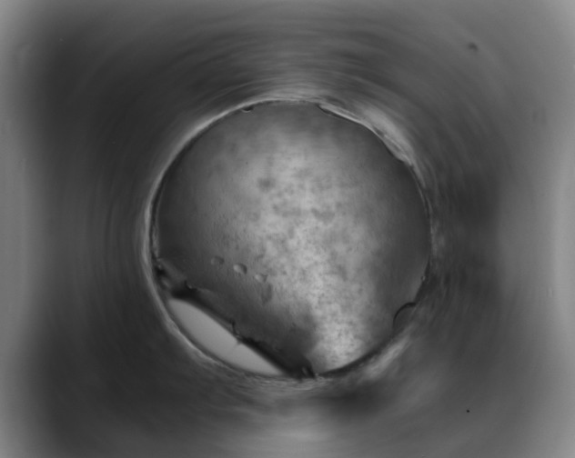 X0000088861103200706151731
