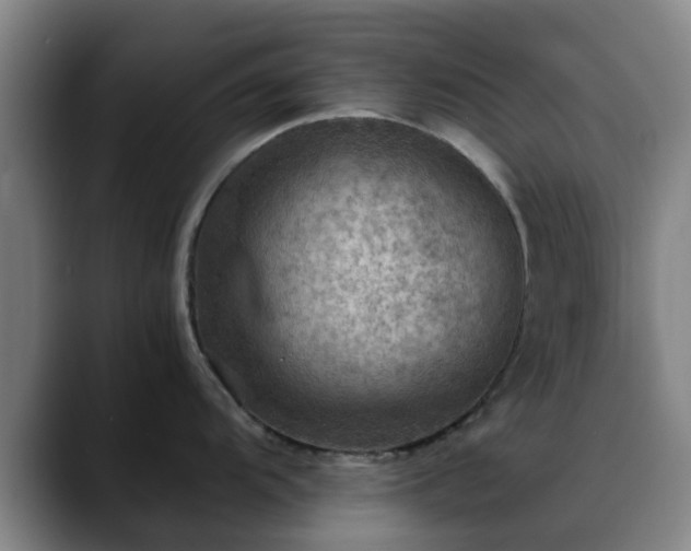 X0000088861104200706151731