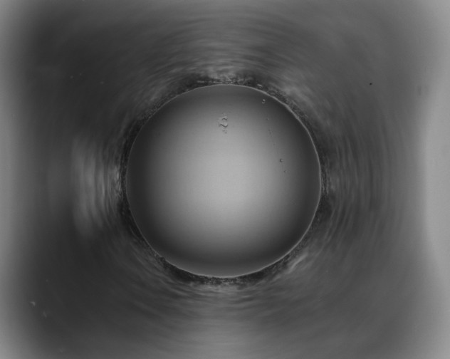 X0000088861106200706151730