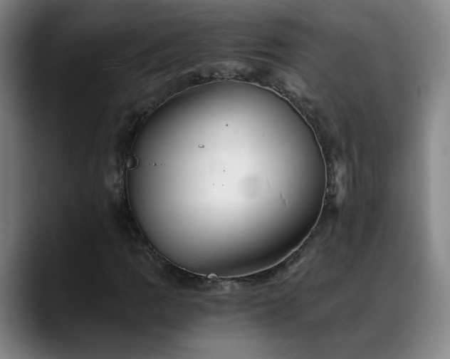 X0000088861109200706151731