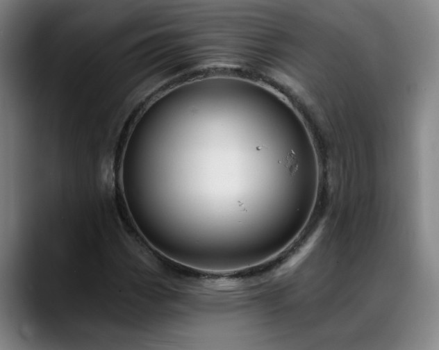 X0000088861113200706151731