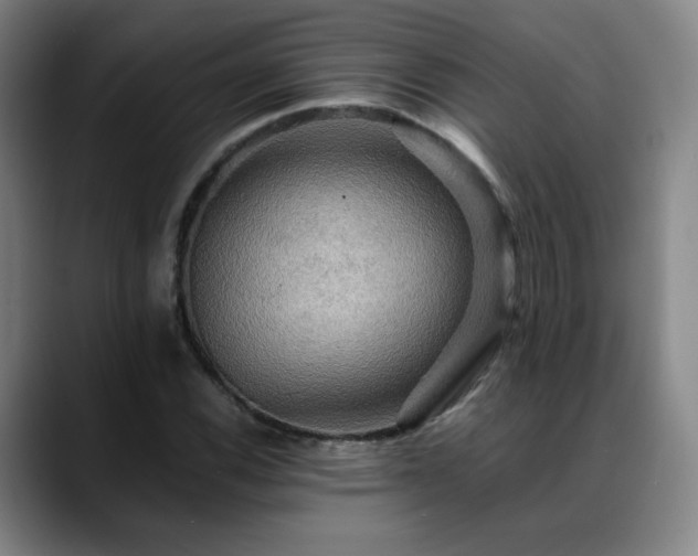 X0000088861116200706151731
