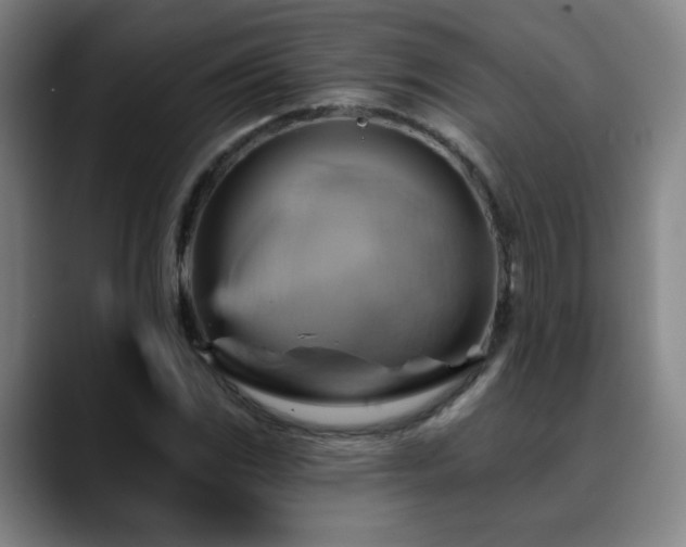 X0000088861117200706151731