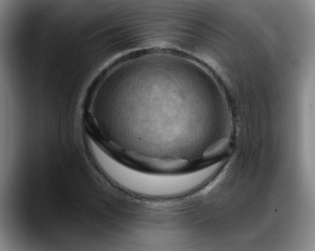 X0000088861118200706151731