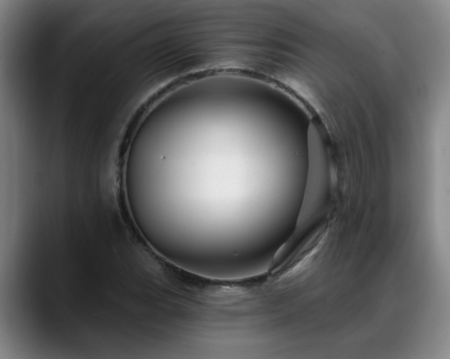 X0000088861119200706151731