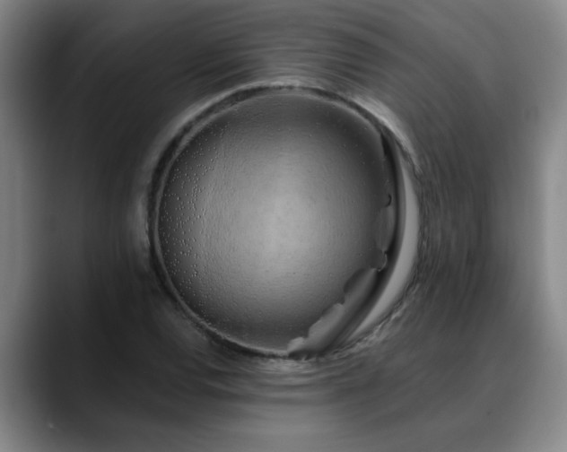 X0000088861120200706151731