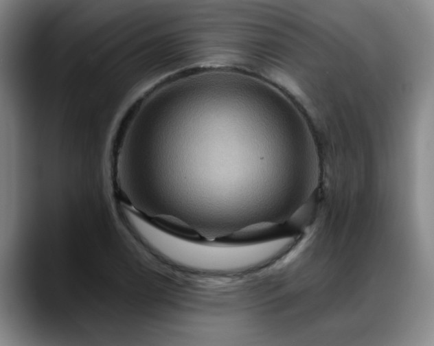 X0000088861122200706151731