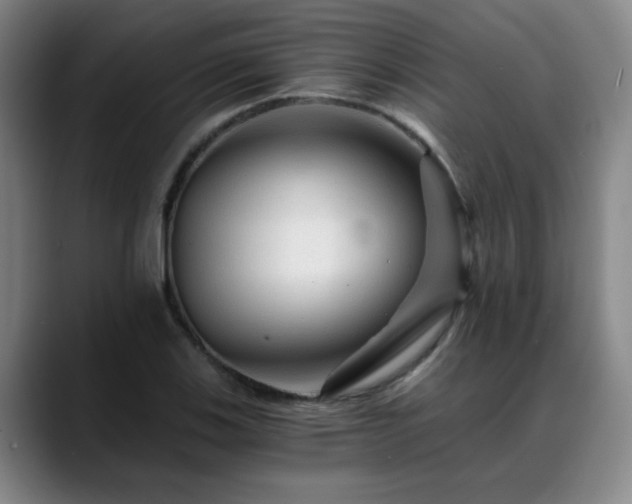 X0000088861123200706151731
