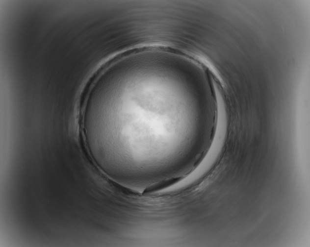 X0000088861124200706151731