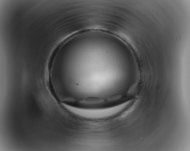 X0000088861125200706151731