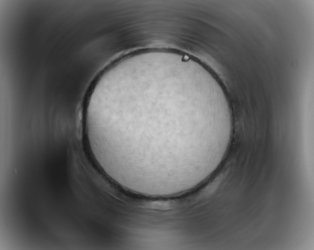 X0000088861126200706151731