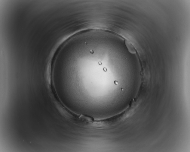 X0000088861128200706151731