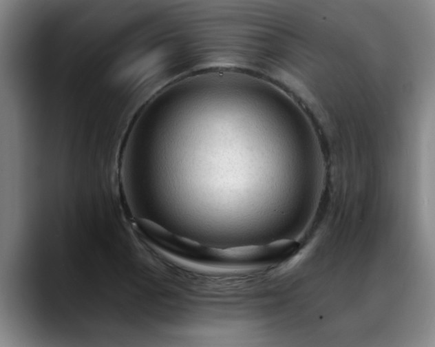 X0000088861129200706151731