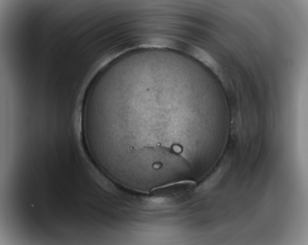 X0000088861130200706151731