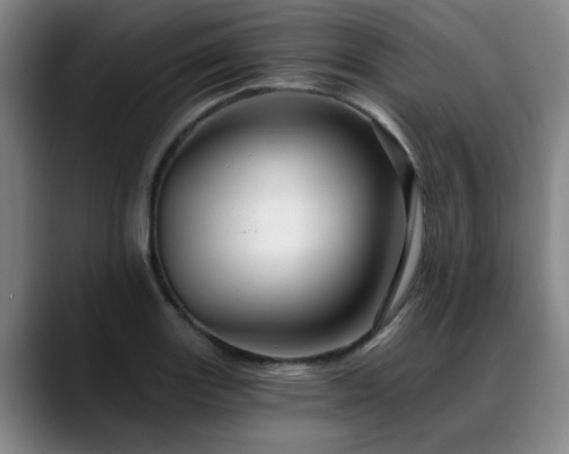 X0000088861131200706151731