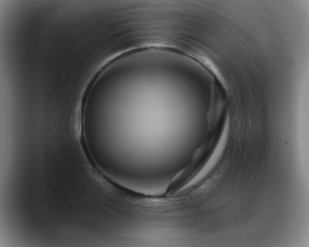 X0000088861132200706151731