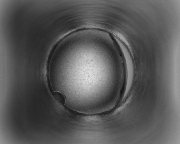 X0000088861133200706151731
