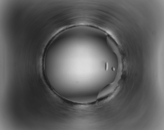 X0000088861134200706151731