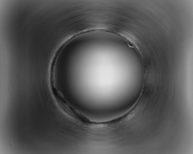X0000088861135200706151731