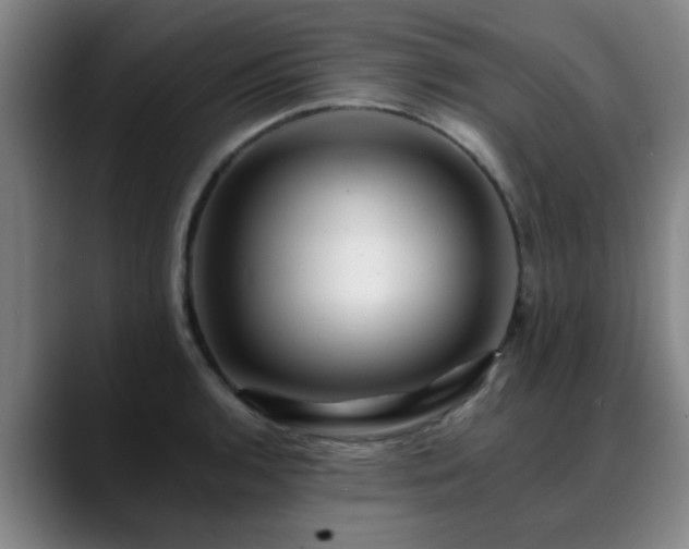 X0000088861136200706151731
