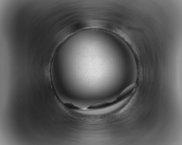 X0000088861137200706151731