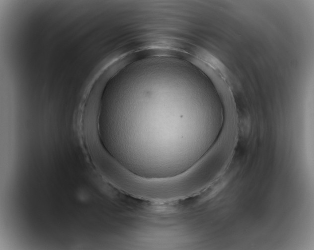X0000088861138200706151731