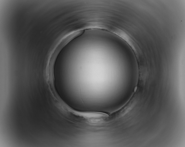X0000088861140200706151731