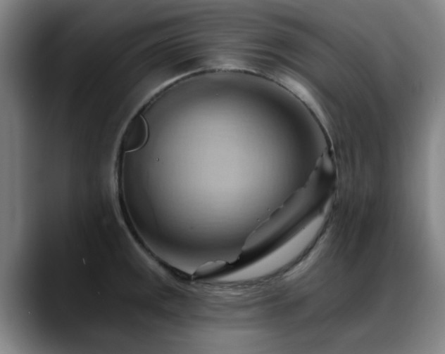 X0000088861141200706151731