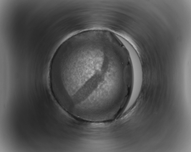 X0000088861142200706151731