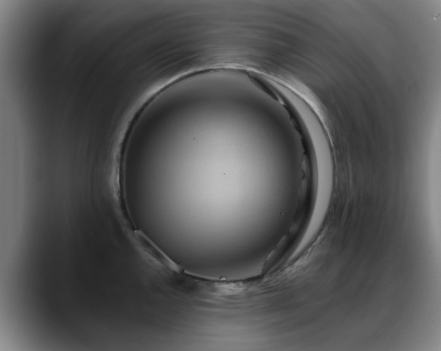X0000088861144200706151731