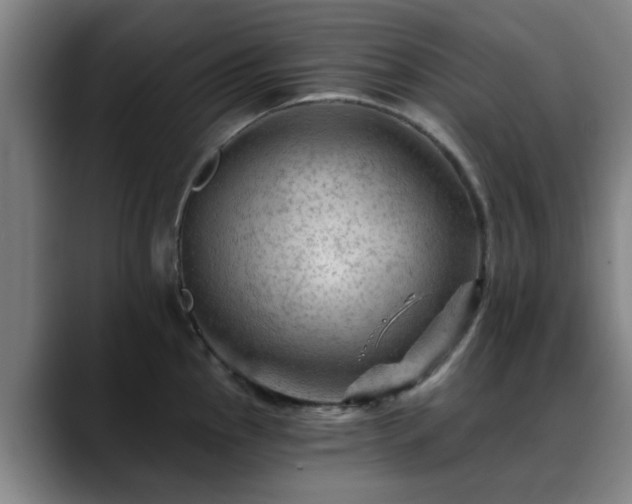 X0000088861145200706151731