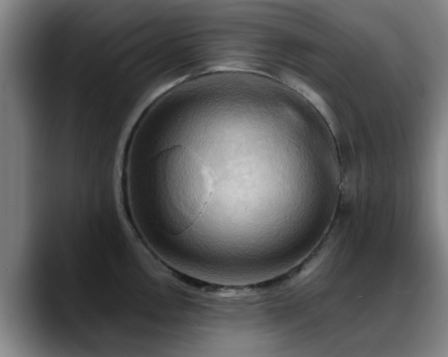 X0000088861146200706151731