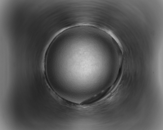 X0000088861148200706151731