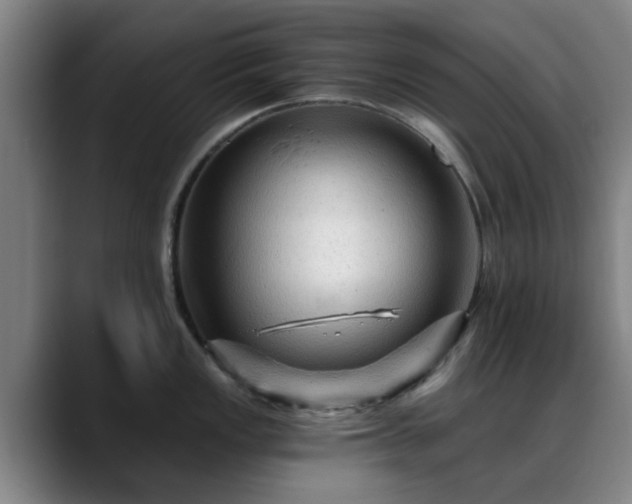X0000088861149200706151731